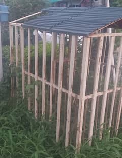 DOG CAGE FOR SALE
