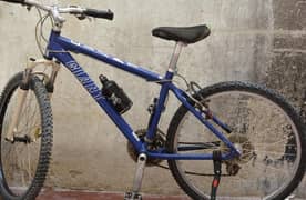 Mountain cycle