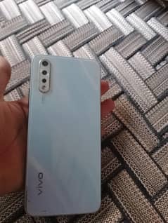 vivo