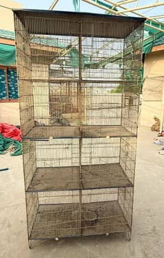 Birds cage