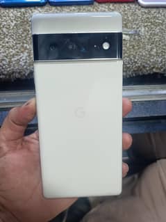 panal gillas damage