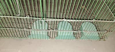 parrot cage