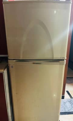 medium size fridge