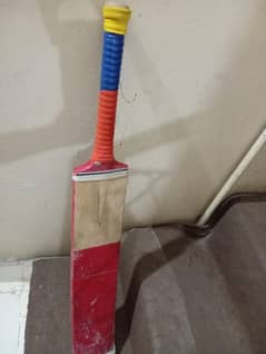 Bat