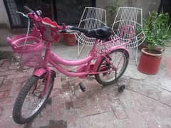 Girl's Bicycle