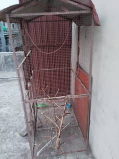 cage for sale 03239397154
