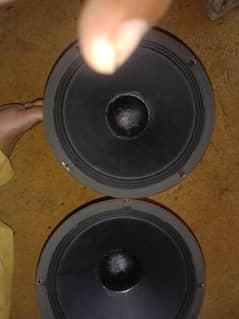 speaker