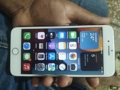 iPhone 7 plus note pta
