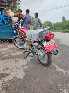 new bike