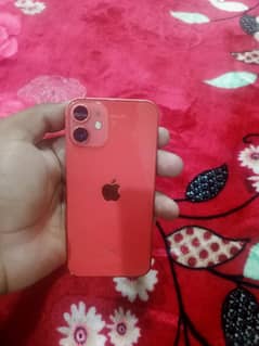 IPhone 12 Mini
