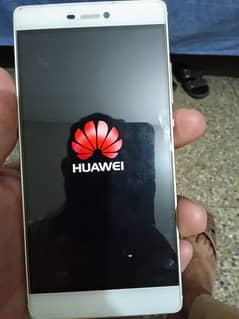 NEW CONDITION