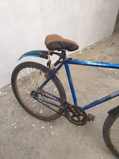 last price 13500