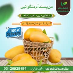 الحافظ ہول سیل مینگو ڈیلر