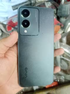 vivo