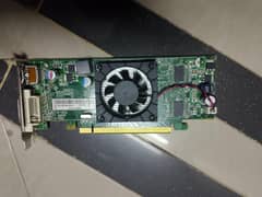 Amd Radeon ddr3 1Gb Graphic card