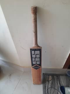 Cricket