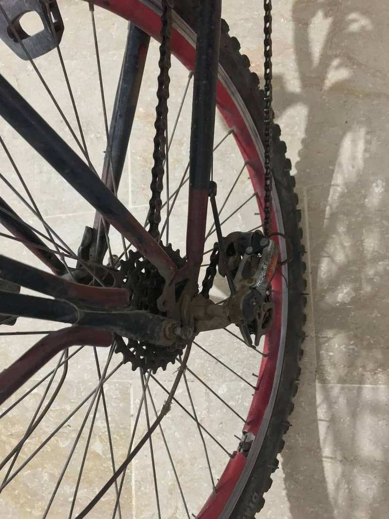 All Okay 10 by 10 Condition Cycle With Gears 2