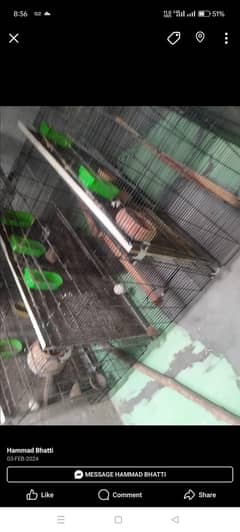 8 Portion folding Master cage