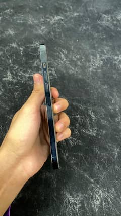 Iphone 12 pro Max blue color