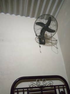 Royal fan used new condition