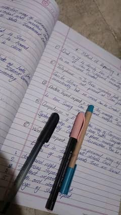 Writing assignments (essays, reports) and practical copies