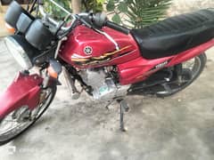 Yamaha