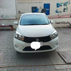 Cultus VXR 2018