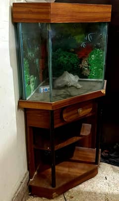 fish aquarium  with small water bowl for fishes