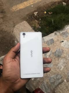 vivo