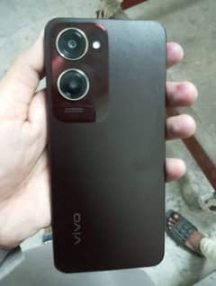 vivo