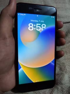 iPhone 8 plus Pta approved