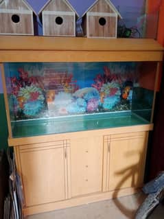 aquarium