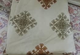 women Shawl