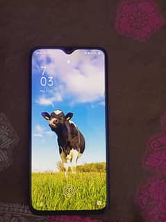 oppo Reno z mobile official pta sell with 8 GB ram and 256 GB memory