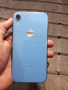 XR