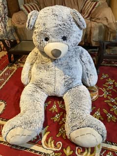 Teddy bear 5’6 inch full size fluffy Teddy bear imported