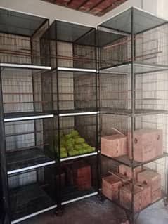 birds cage
