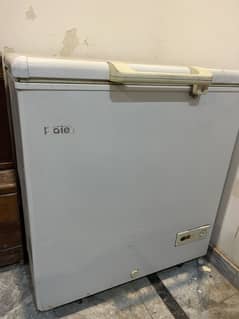 Haier Deep Freezer Single Door