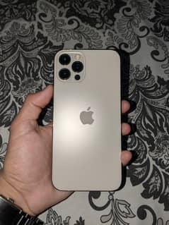 iphone 12 pro