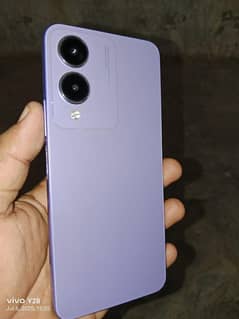 vivo