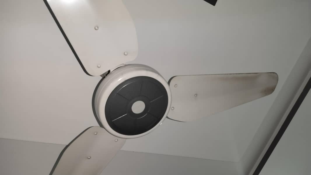 ceiling fan 1