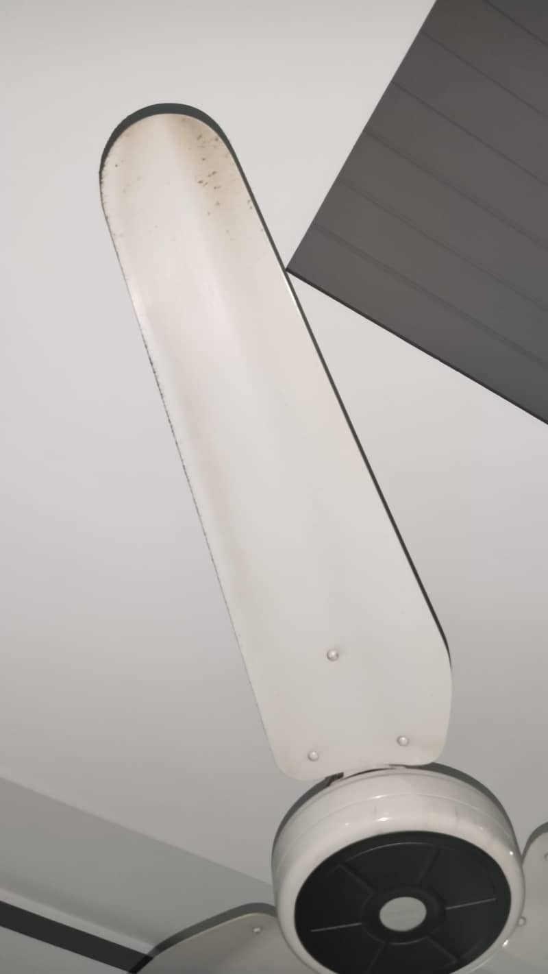 ceiling fan 3