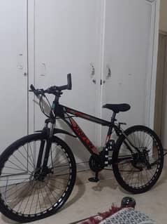 Mountain bike
