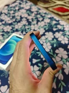 iphone 12 for sale number 03362786240