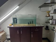 Aquarium ( without fish and accessories)