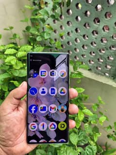 google pixel 6 pro