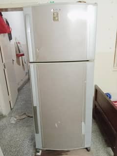 refrigerator full size