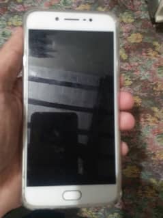 Vivoy56 dual sim all ok mobile ha no open no repare 03258582260