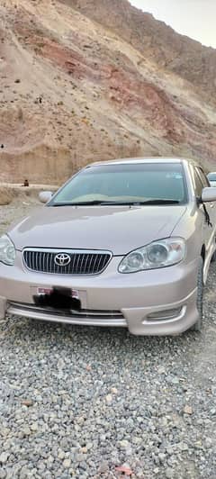 corolla Altas salon