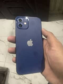 iPhone 12